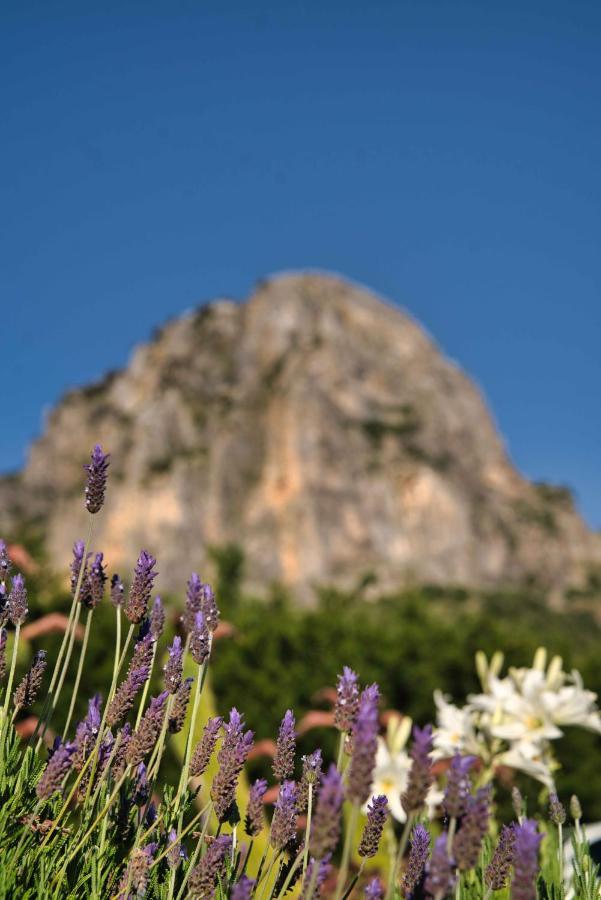 El Valle Dorado El Gastor Zewnętrze zdjęcie